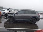 2021 Jeep Cherokee Altitude Fwd Gray vin: 1C4PJLLB3MD169308