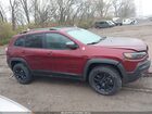 2021 Jeep Cherokee Trailhawk 4x4 Бордовый vin: 1C4PJMBX1MD190676