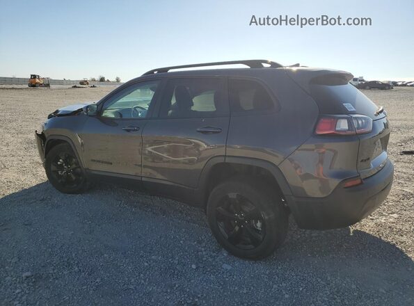 1C4PJMMB0PD102724 2023 JEEP CHEROKEE Серый Задняя левая четверть