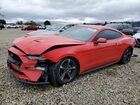 2020 Ford Mustang Red vin: 1FA6P8TH1L5173464