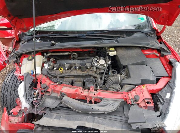 1FADP3K22HL231902 2017 FORD FOCUS Красный Вид сзади