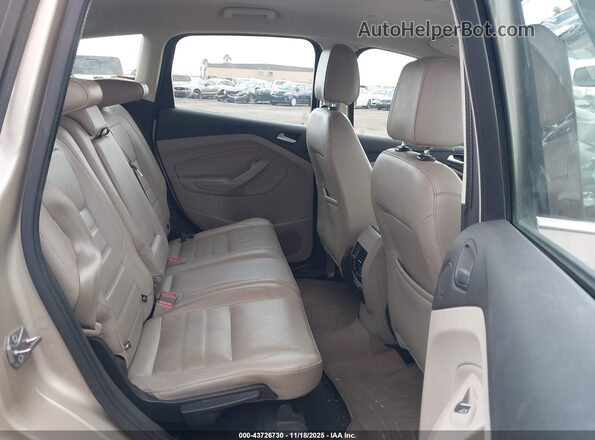 1FADP5DU8HL103478 2017 FORD C-MAX HYBRID Champagne Vista de la etiqueta del VIN