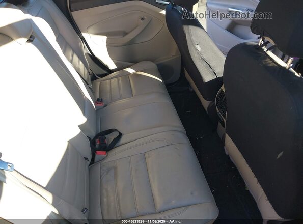 1FADP5FUXHL101406 2017 FORD C-MAX ENERGI Желто-коричневый Вид наклейки с VIN-кодом