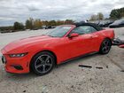 2024 Ford Mustang Красный vin: 1FAGP8UH4R5134024