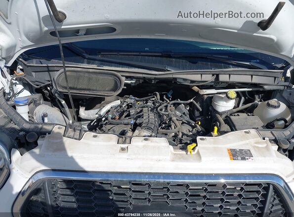 1FBAX2YG7PKA93857 2023 FORD PASSENGER Белый Вид сзади