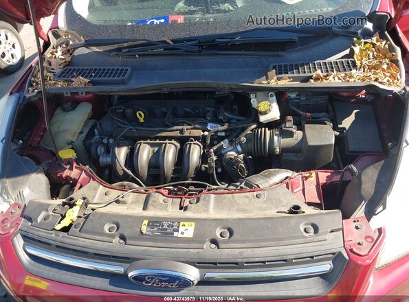1FMCU0G7XGUB83877 2016 FORD ESCAPE Красный Вид сзади