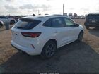 2023 Ford Escape St-line White vin: 1FMCU0MN7PUB32596