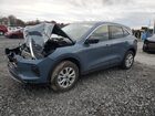2024 Ford Escape Active Blue vin: 1FMCU9GN2RUB10878