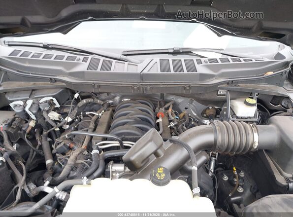 1FTEW1C55NKF12477 2022 FORD F150 Gray Widok z tyłu