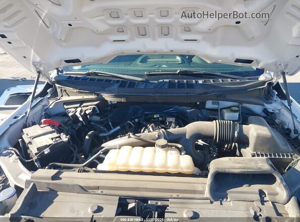 1FTEX1CP6NKD27546 2022 FORD F150 White Rear view