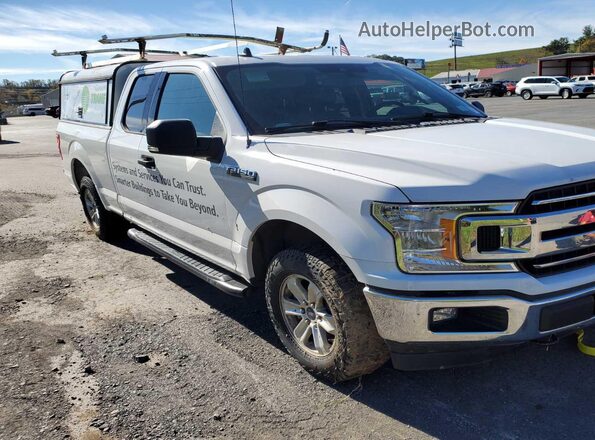 1FTEX1EP9KKC43584 2019 FORD F150  Widok z tyłu