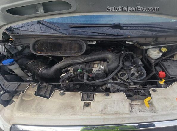 1FTYE1Y84LKB50366 2020 FORD TRANSIT-150  Вид сзади