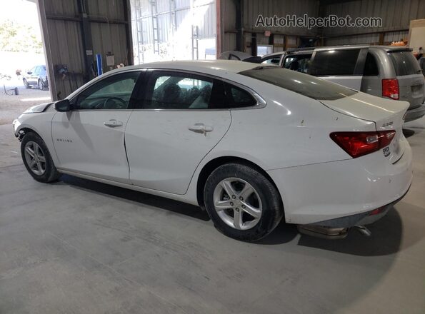 1G1ZC5ST0RF191506 2024 CHEVROLET MALIBU Белый Задняя левая четверть