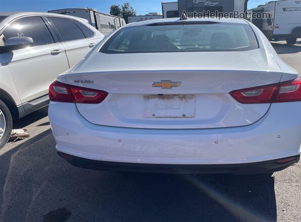 1G1ZC5ST1LF081958 2020 CHEVROLET MALIBU  უკანა ხედი