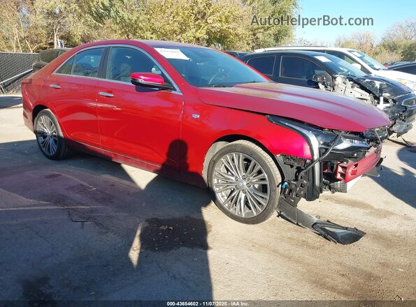 1G6DF5RK6R0122346 2024 CADILLAC CT4 Red Передня права чверть