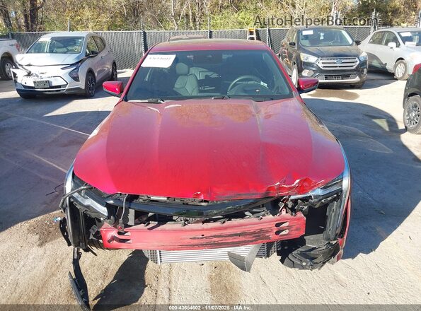 1G6DF5RK6R0122346 2024 CADILLAC CT4 Red Вид задньої частини салону