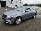 2021 Cadillac Ct4 Premium Luxury Gray vin: 1G6DF5RKXM0122259