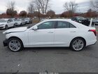 2023 Cadillac Ct4 Premium Luxury White vin: 1G6DF5RKXP0110875