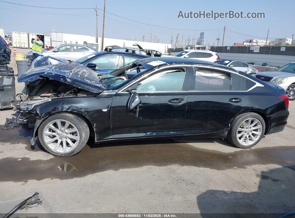 1G6DM5RK4M0113501 2021 CADILLAC CT5 Черный Вид задней части салона
