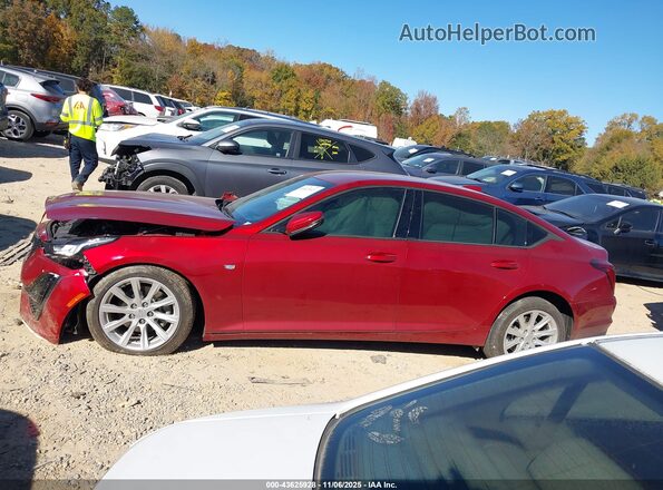 1G6DM5RK9P0115166 2023 CADILLAC CT5 Красный Вид задней части салона
