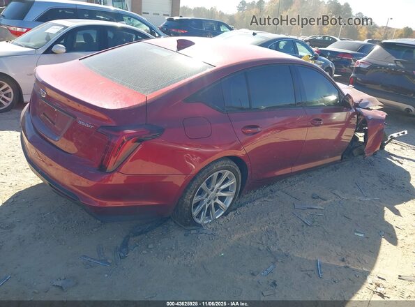 1G6DM5RK9P0115166 2023 CADILLAC CT5 Красный Задняя правая четверть