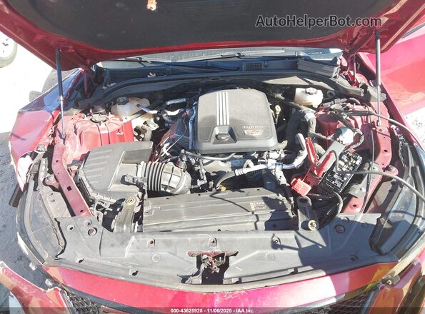 1G6DM5RK9P0115166 2023 CADILLAC CT5 Красный Вид сзади