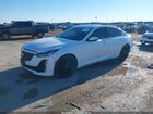 2023 Cadillac Ct5 Premium Luxury Белый vin: 1G6DN5RK1P0145369