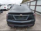 2023 Cadillac Ct5 Sport Черный vin: 1G6DP5RK7P0115657