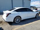 2023 Cadillac Ct5-v Белый vin: 1G6DR5RW0P0148397
