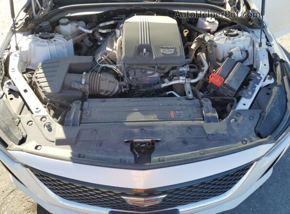 1G6DW5RKXM0122309 2021 CADILLAC CT5 White უკანა სალონის ხედი