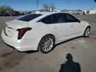 2021 Cadillac Ct5 Luxury White vin: 1G6DW5RKXM0122309 2021 Cadillac Ct5 Luxury White vin: 1G6DW5RKXM0122309