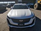2021 Cadillac Ct5 Luxury White vin: 1G6DW5RKXM0122309 2021 Cadillac Ct5 Luxury White vin: 1G6DW5RKXM0122309