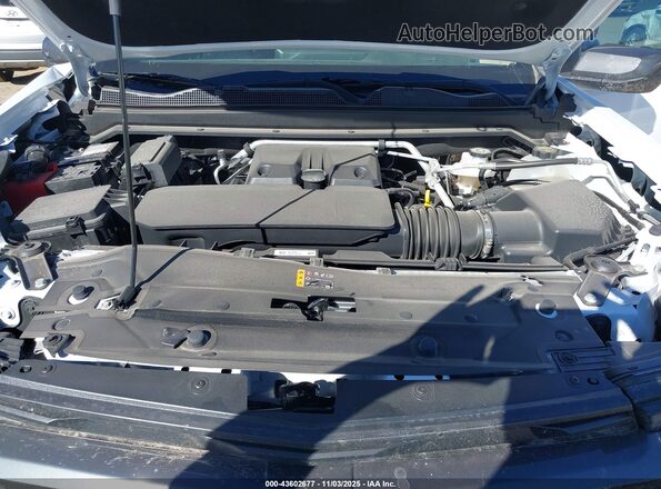1GCPSCEK5S1226925 2025 CHEVROLET COLORADO White Widok z tyłu