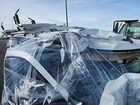 2023 Chevrolet Express Cargo Rwd 2500 Regular Wheelbase Wt vin: 1GCWGAFP6P1122270