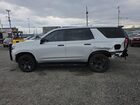 2023 Chevrolet Tahoe K1500 Silver vin: 1GNSKLED4PR432569