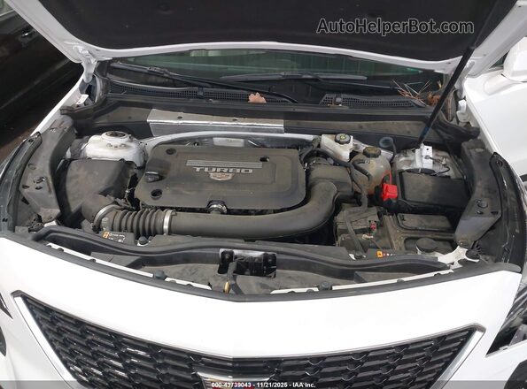 1GYFZDR41MF057009 2021 CADILLAC XT4 Белый Вид сзади