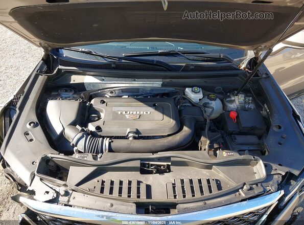 1GYFZDR41RF202136 2024 CADILLAC XT4 Champagne Հետևի տեսք