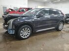 2023 Cadillac Xt4 Premium Luxury Black vin: 1GYFZDR48PF110244