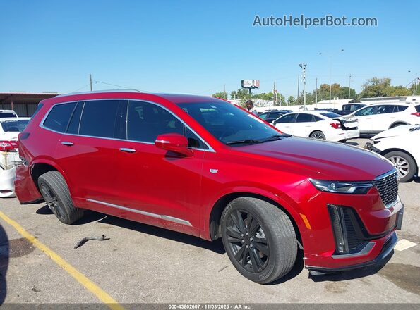 1GYKPCRS8PZ124012 2023 CADILLAC OTHER Красный Вид задней части салона