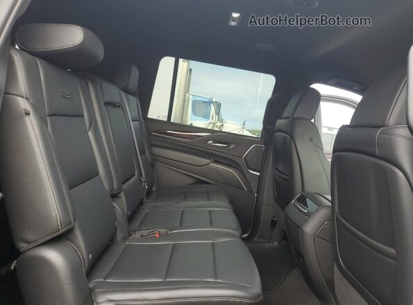 1GYS3JKT2PR265788 2023 CADILLAC ESCALADE Черный Вид задней части салона