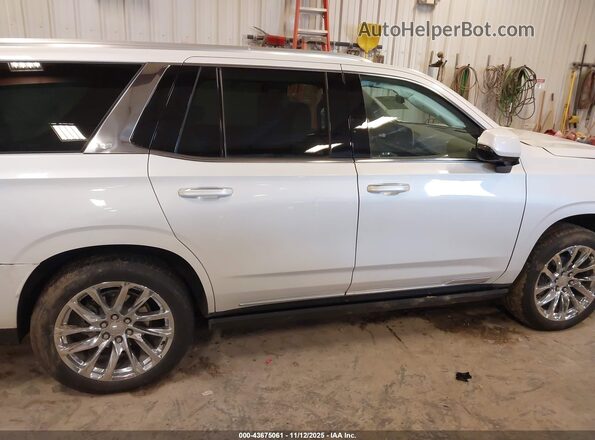 1GYS4DKL0PR438657 2023 CADILLAC ESCALADE Белый Вид задней части салона