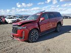 2023 Cadillac Escalade Sport Red vin: 1GYS4EKL0PR338399