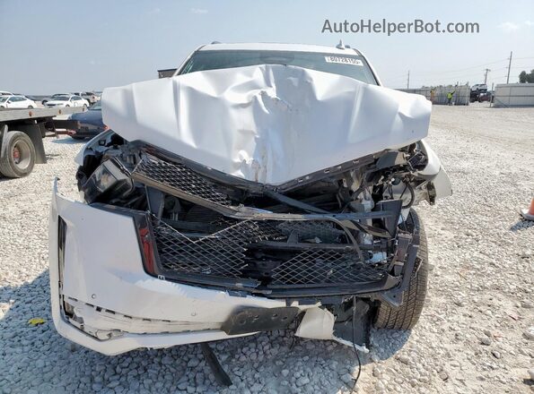 1GYS4FKL2PR155799 2023 CADILLAC ESCALADE White Widok z przodu