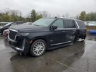 2023 Cadillac Escalade Esv Premium Luxury Black vin: 1GYS4KKL0PR271575