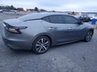 2019 Nissan Maxima S Серый vin: 1N4AA6AV6KC361562