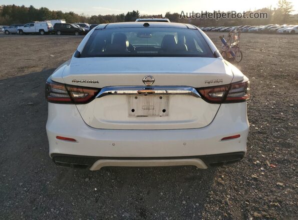 1N4AA6AV7KC369024 2019 NISSAN MAXIMA White Widok z tyłu