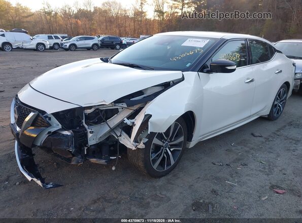 1N4AA6CV0PC509239 2023 NISSAN MAXIMA White Передня ліва чверть