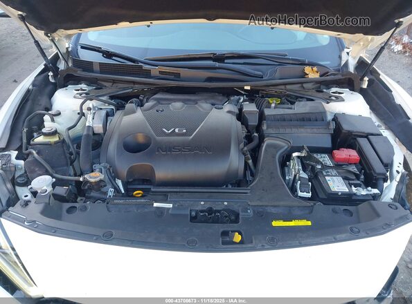1N4AA6CV0PC509239 2023 NISSAN MAXIMA White Вид ззаду