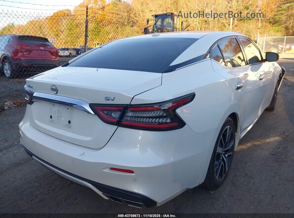 1N4AA6CV0PC509239 2023 NISSAN MAXIMA White Задня права чверть