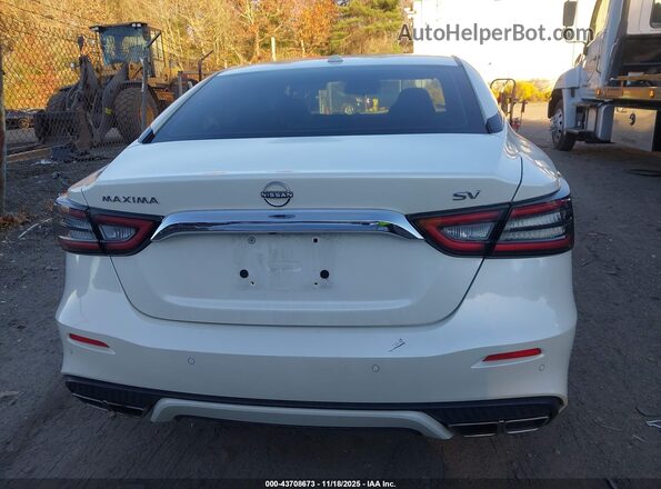 1N4AA6CV0PC509239 2023 NISSAN MAXIMA White 
